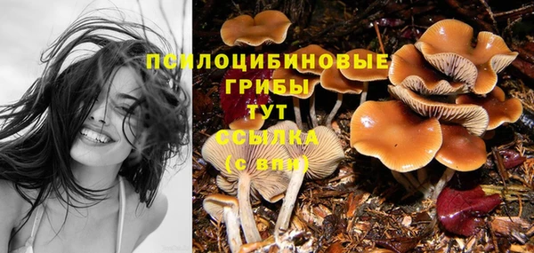 синтетический гашиш Богданович