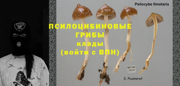синтетический гашиш Богданович