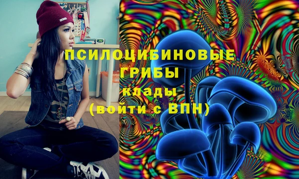 герыч Богородск